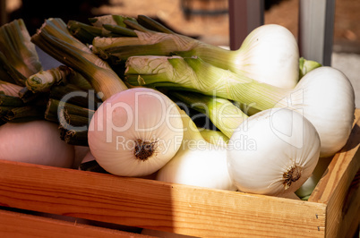 Green onion vegetable in a crate at a farmers market