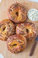 Vollkorn Bagels