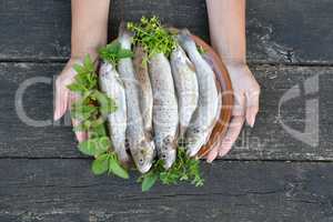 Full plate of river trout in girl's hands