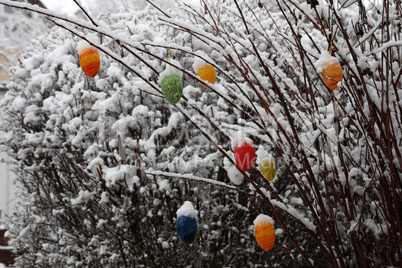 Colored decorative eggs are used to decorate trees in Germany for Easter