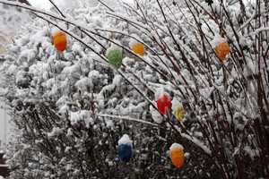 Colored decorative eggs are used to decorate trees in Germany for Easter