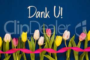 Colorful Tulip, Dank U Means Thank You, Ribbon, Blue Background