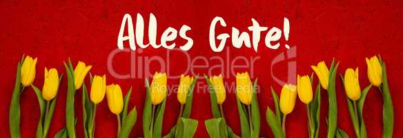 Baner Of Yellow Tulip Flowers, Red Background, Alles Gute Means Best Wishes