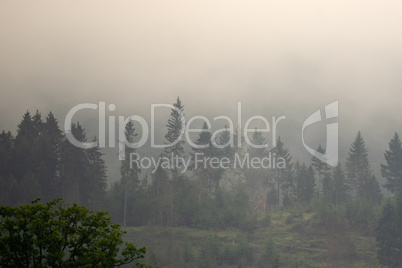 Morning fog at the german Rothaargebirge