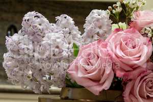 Pink rose Rosa and purple hyacinth Hyacinthus flower background