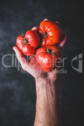 Hand holding fresh red tomatoes