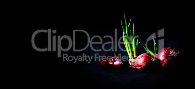 Red onions with green stems