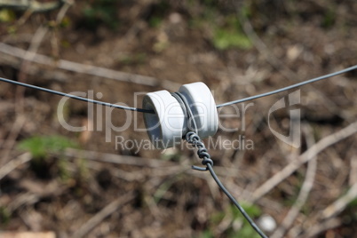 close up of a electrical wire fence around a pasture