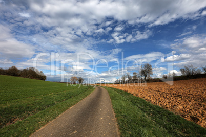Spring landscape with sown fields and blue sky