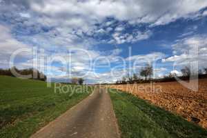 Spring landscape with sown fields and blue sky