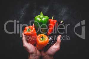 Hands with different bell peppers