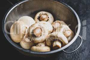 Button mushrooms in metal colander