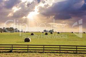 Texas hay bales on a farm