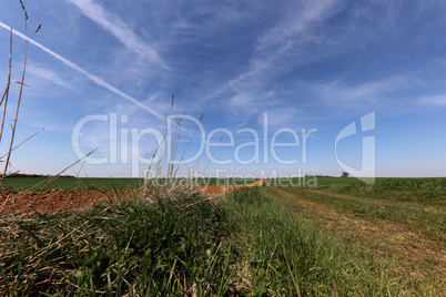 Spring landscape with sown fields and blue sky
