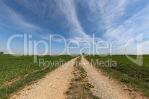 Spring landscape with sown fields and blue sky