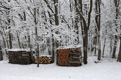Wood pile of firewood at the edge of the forest in winter