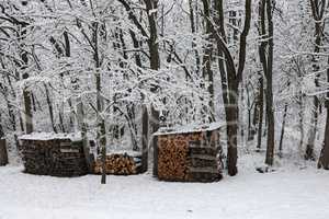 Wood pile of firewood at the edge of the forest in winter