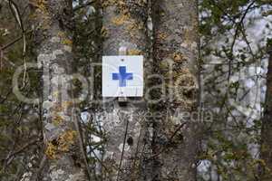 Blue Cross Symbol marks a tourist hiking trail on a tree in the forest