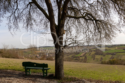 Bench for lovers on the outskirts of the village