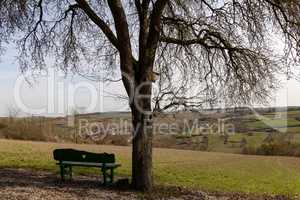 Bench for lovers on the outskirts of the village