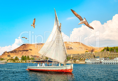 Sailboat in Aswan city