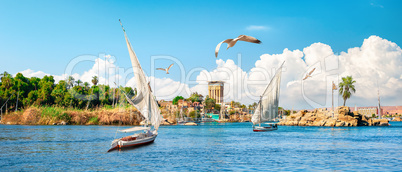 Sailing on Nile