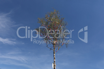 A traditional Maypole with colored ribbons on blue background