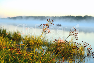 sunny morning on the river, plants, fog, boat, reflections in th