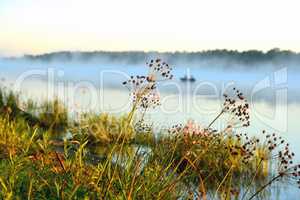sunny morning on the river, plants, fog, boat, reflections in th