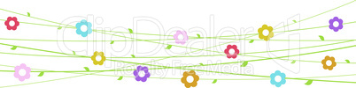 flowers on strings background for spring