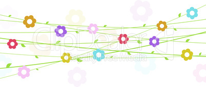 flowers on strings background for spring