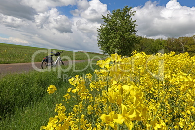 The bike stands on the edge of a rapeseed field