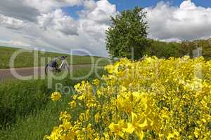 The bike stands on the edge of a rapeseed field