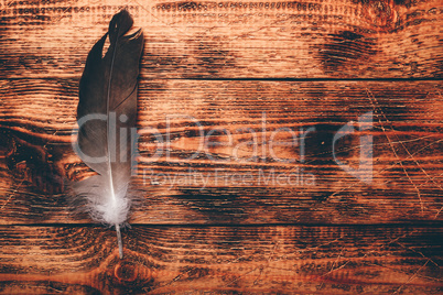 Hawk feather over wooden table