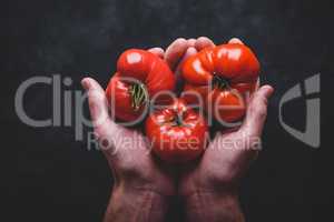 Hands holding fresh red tomatoes