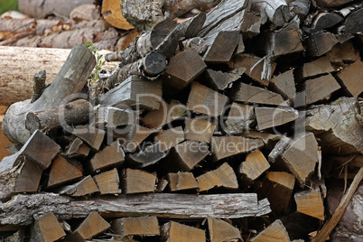 Wood pile of firewood in the forest