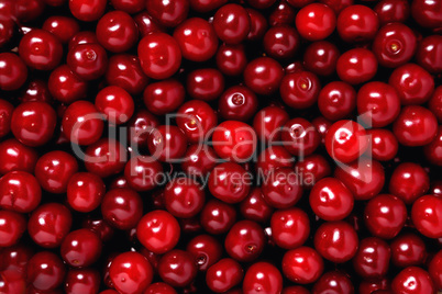 natural ripe fresh cherry, background, close-up