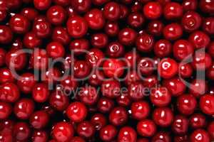 natural ripe fresh cherry, background, close-up