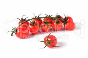 one cherry tomato on a background of cherry twig, white backgrou
