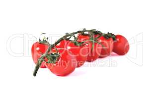 a branch of red cherry tomatoes sharp in front and blurred from