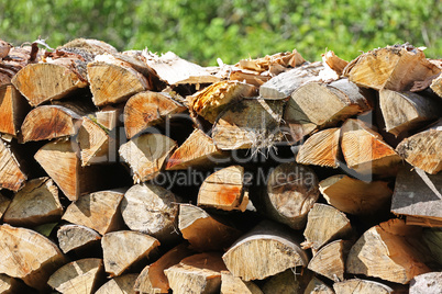 Wood pile of firewood in the forest