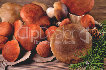 Edible mushrooms, porcini and boletus on a natural wooden backgr