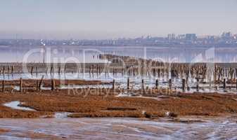 Drying Lake Kuyalnik in Odessa, Ukraine