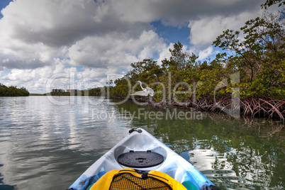 Flying great white egret Ardea alba across a kayak and a river l