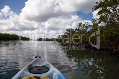 Flying great white egret Ardea alba across a kayak and a river l
