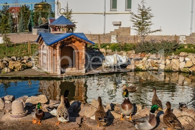 Holy Protection Monastery in Marinovka village, Ukraine