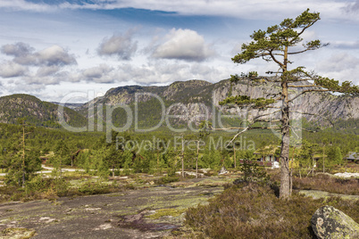 Panorama with fir trees and mountains nature landscape Nissedal Norway.