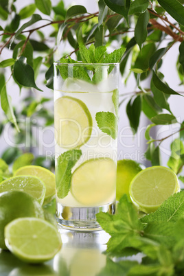 Refreshing organic Mojito cocktail