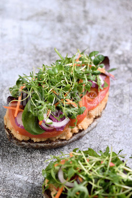 Vegetarian toast with microgreen