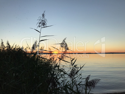 Chiemsee bei Nacht